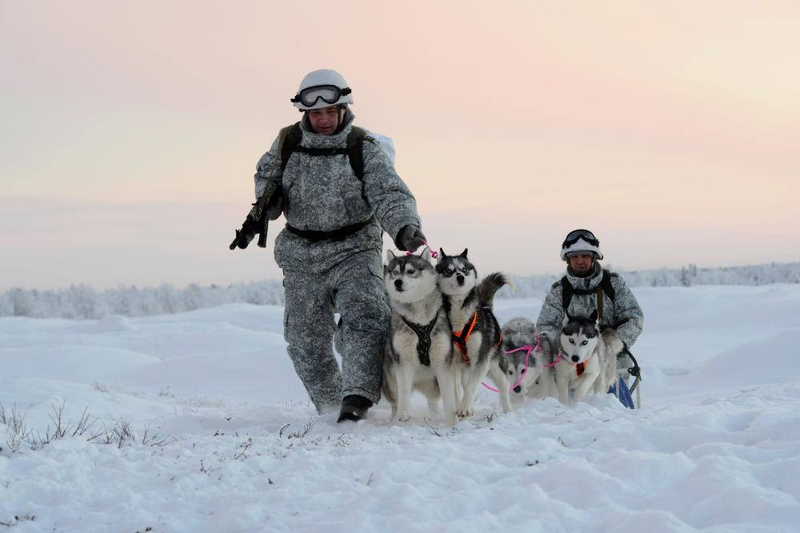 Illustration for article titled Russian Soldiers Go Native For Arctic Ops Using Reindeer And DogsledsĀ